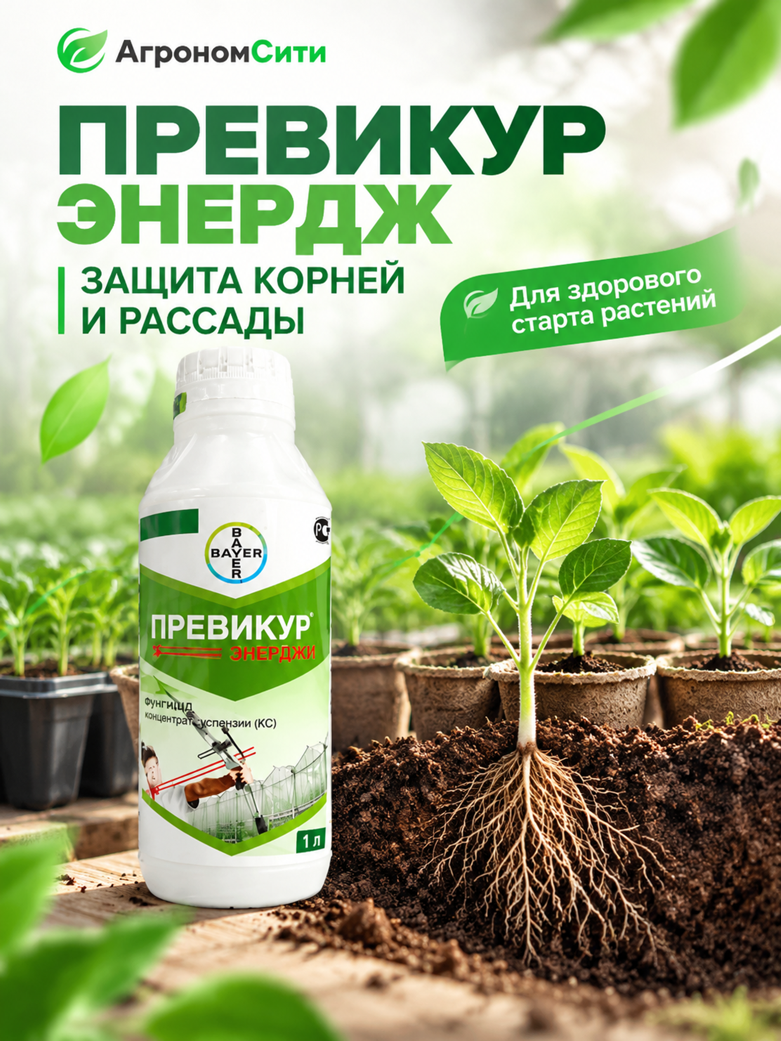 Превикур Энерджи