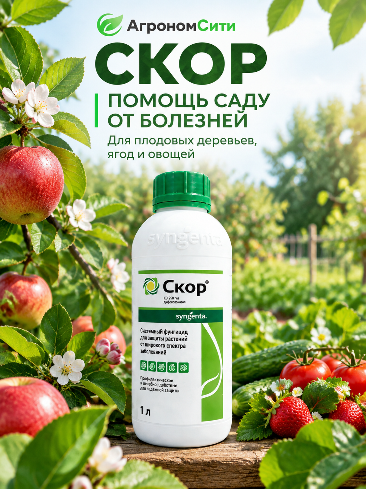 Скор